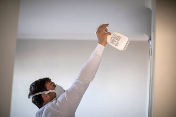 Best Mold Removal Near Me  in Shasta Lake, CA