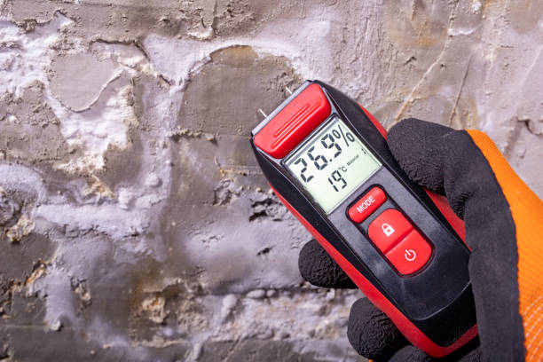 Best Mold Cleaning Services  in Shasta Lake, CA